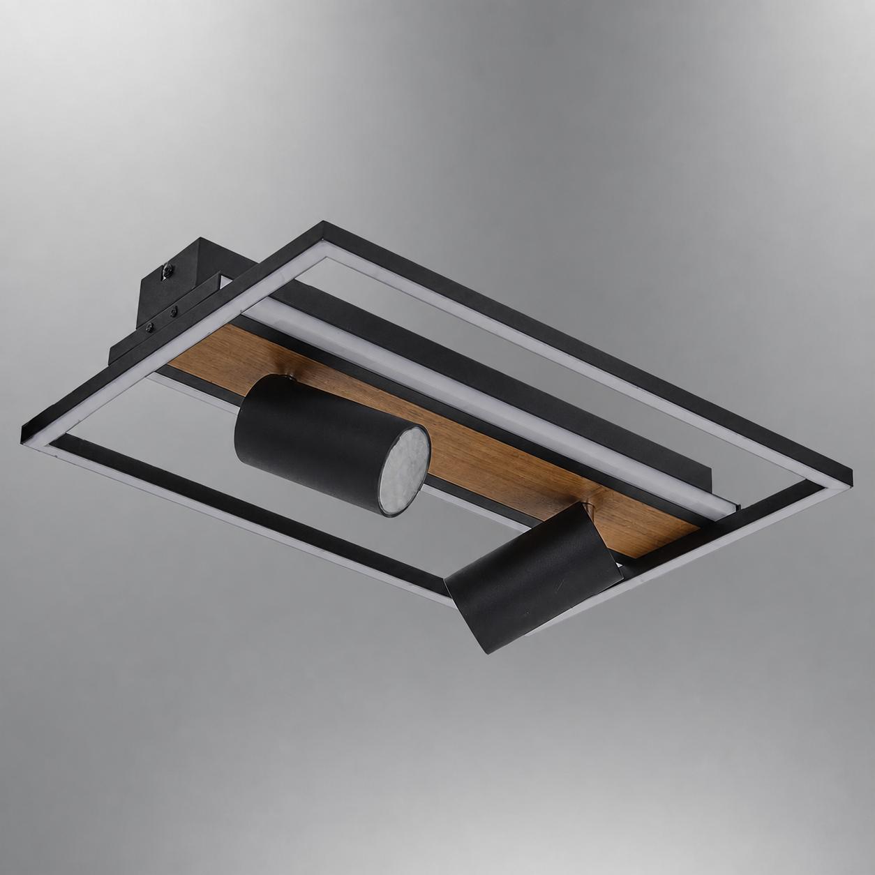 Reon Rectangular LED Ceiling Light with 2 Spots — Lights off, White background
