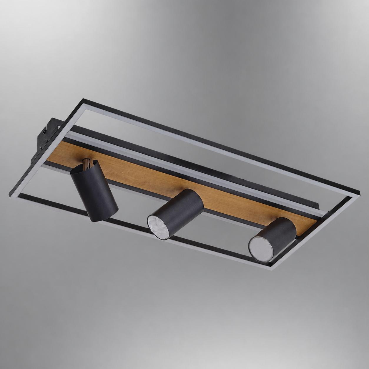Reon Rectangular LED Ceiling Light with 3 Spots — Lights off, White background